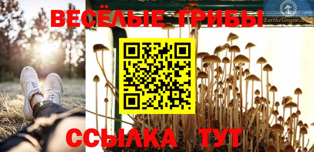 Псилоцибиновые грибы MAGIC MUSHROOMS  Псилоцибиновые грибы MAGIC MUSHROOMS  Феодосия  Вход с VPN 